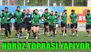 HOROZ TOPBAŞI YAPIYOR
