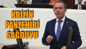 KRİZİN PANZEHİRİ SAĞDUYU