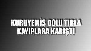 KURUYEMİŞ DOLU TIRLA KAYIPLARA KARIŞTI