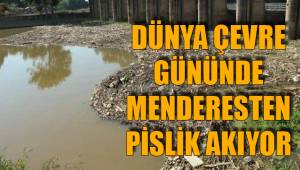 MENDERES KURTULAMIYOR