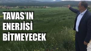 TAVAS’IN ENERJİSİ BİTMEYECEK