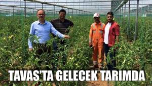 TAVAS’TA GELECEK TARIMDA