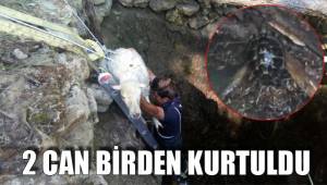 2 CAN BİRDEN KURTULDU