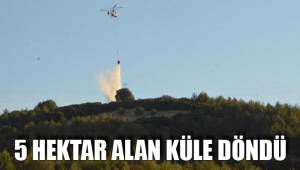 5 HEKTAR ALAN KÜLE DÖNDÜ