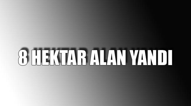 8 HEKTAR ALAN YANDI