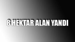 8 HEKTAR ALAN YANDI