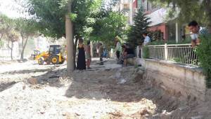 AĞAÇ KATLİAMINA VATANDAŞ TEPKİLİ