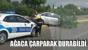 AĞACA ÇARPARAK DURABİLDİ