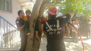Ağaca tırmanırken ayağı sıkıştı