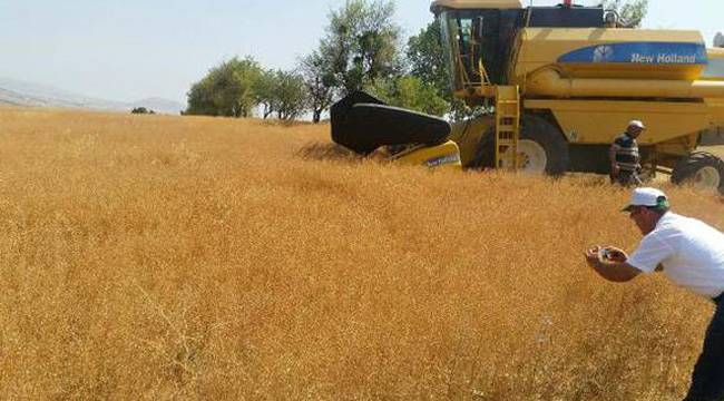 BİYODİZEL’İN YENİ HAMMADDESİ