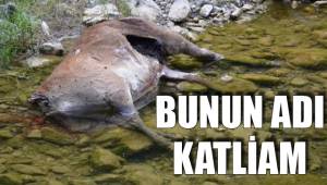 BUNUN ADI KATLİAM