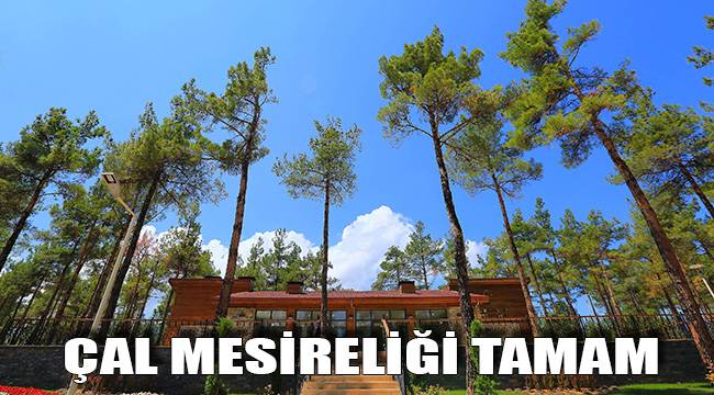 ÇAL MESİRELİĞİ TAMAM