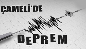 ÇAMELİ'DE DEPREM PANİĞİ