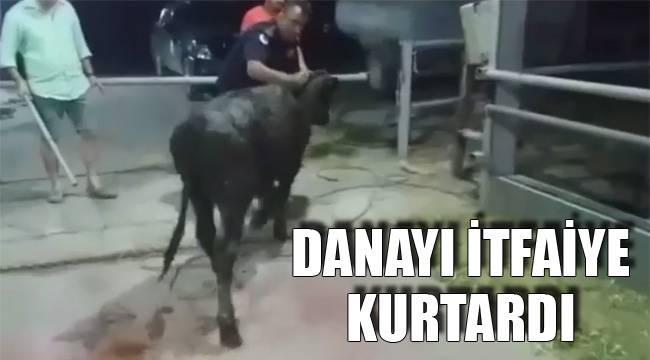 DANAYI İTFAİYE KURTARDI