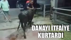 DANAYI İTFAİYE KURTARDI