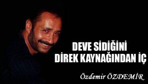 DEVE SİDİĞİNİ DİREK KAYNAĞINDAN İÇ