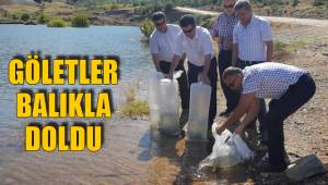 Göletler balıkla doldu