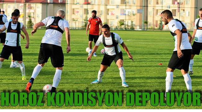 HOROZ KONDİSYON DEPOLUYOR