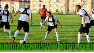HOROZ KONDİSYON DEPOLUYOR