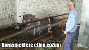 Karasineklere etkin çözüm