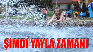 ŞİMDİ YAYLA ZAMANI
