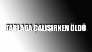 TARLADA ÇALIŞIRKEN ÖLDÜ