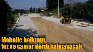TOZA ÇAMURA SON