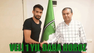 VELİ 1 YIL DAHA HOROZ
