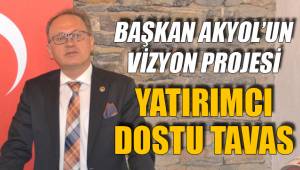 YATIRIMCI DOSTU TAVAS