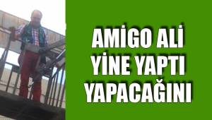AMİGO ALİ VİNÇ KİRALADI