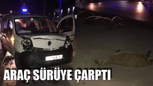 ARAÇ SÜRÜYE ÇARPTI