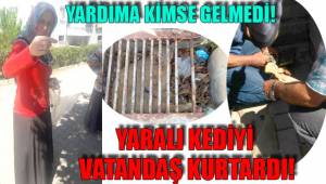 BELEDİYE İLGİLENMEDİ YARALI KEDİYİ VATANDAŞ KURTARDI