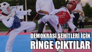DEMOKRASİ ŞEHİTLERİ İÇİN RİNGE ÇIKTILAR