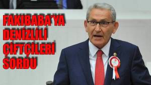 FAKIBABA’YA DENİZLİLİ ÇİFTÇİLERİ SORDU