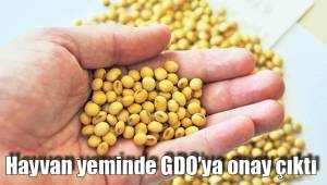 Hayvan yeminde GDO’ya onay çıktı