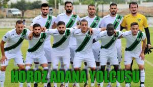 HOROZ ADANA YOLCUSU