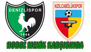 HOROZ MEKİK KARŞISINDA