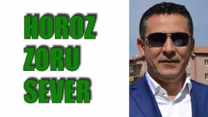 HOROZ ZORU SEVER