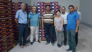 KATAR’A ÇAMELİ DOMATESİ