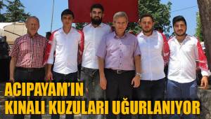 KINALI KUZULAR UĞURLANIYOR
