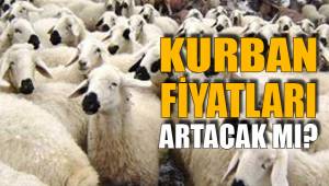 KURBAN FİYATLARI ARTACAK MI?