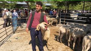 KURBAN PAZARI HAREKETLENDİ
