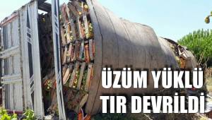 ÜZÜM YÜKLÜ TIR DEVRİLDİ