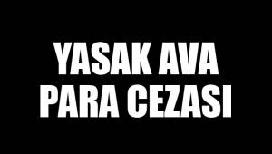 YASAK AVA PARA CEZASI