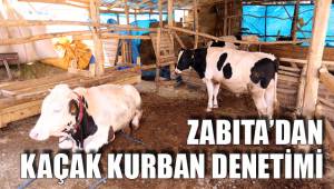 ZABITA’DAN KAÇAK KURBAN DENETİMİ