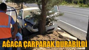 AĞACA ÇARPARAK DURABİLDİ