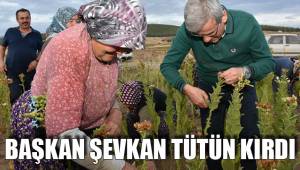BAŞKAN ŞEVKAN TÜTÜN KIRDI