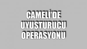ÇAMELİ’DE UYUŞTURUCU OPERASYONU