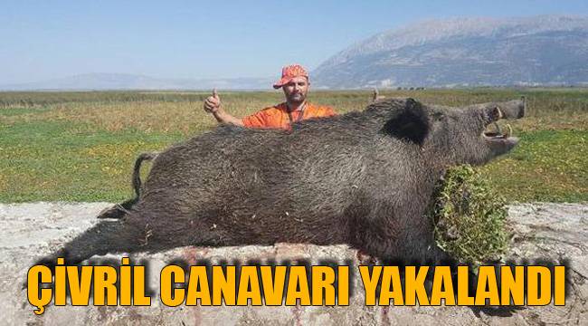 ÇİVRİL CANAVARI YAKALANDI