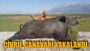 ÇİVRİL CANAVARI YAKALANDI